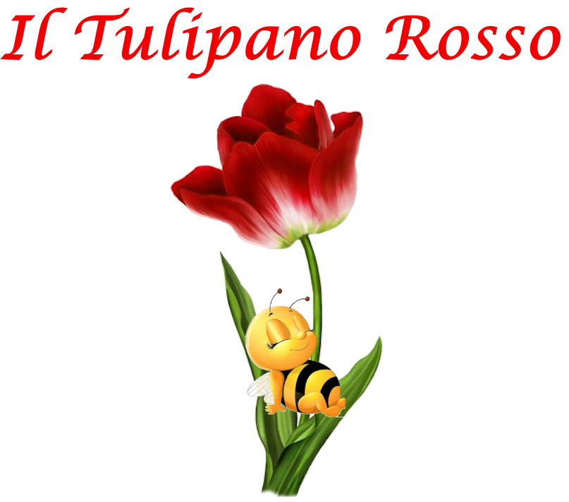 Il Tulipano Roso