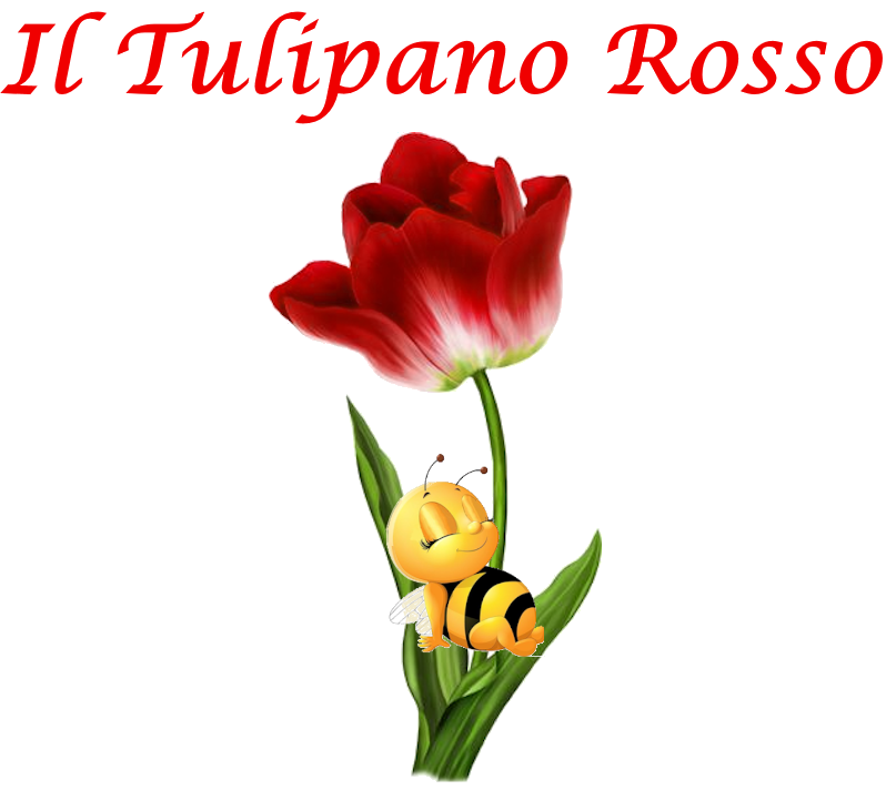 Il Tulipano Rosso